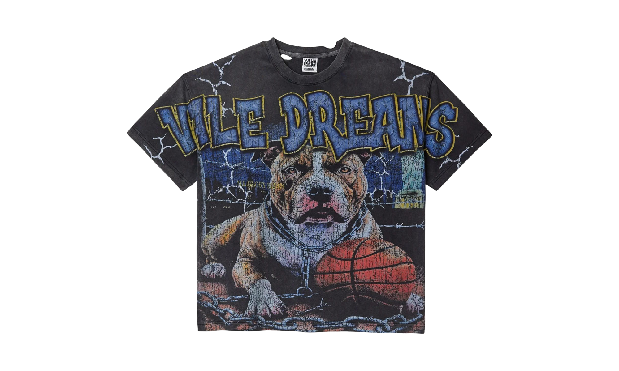 Guard Dog T-Shirt Washed Black 8DMJ67CB